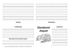 Jaguar-Faltbuch-vierseitig-1.pdf